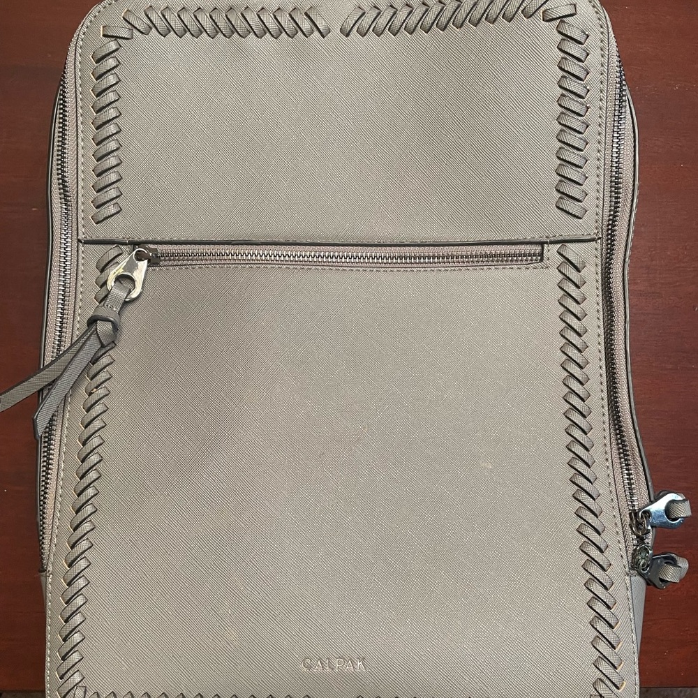 CalPak Kaya laptop backpack